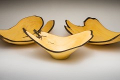 KW_Picture1
